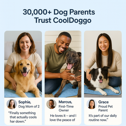 CoolDoggo Cooling Mat (1+1)