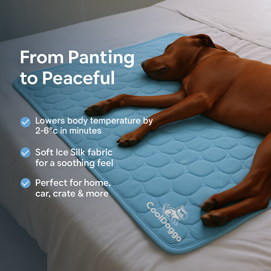 CoolDoggo Cooling Mat (1+1)